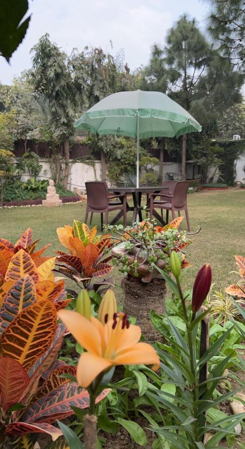 Bed & Breakfast The Stay Inn New Delhi 3*